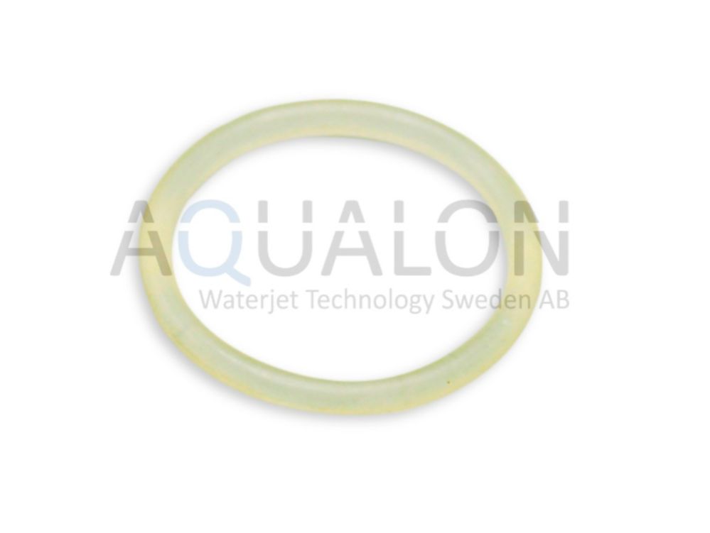 O-ring, plunger head, 05087713