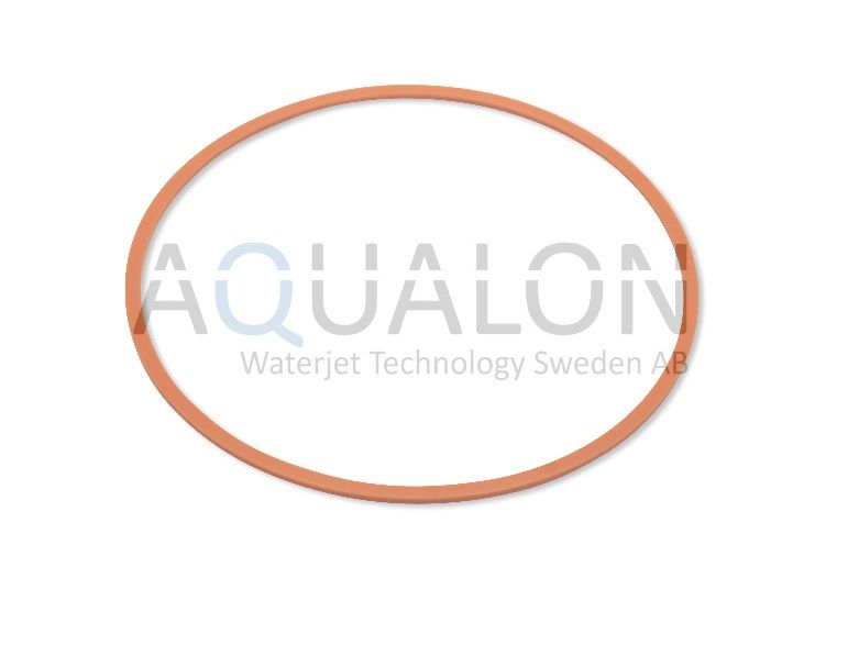 Back-up Ring, A-00250-240