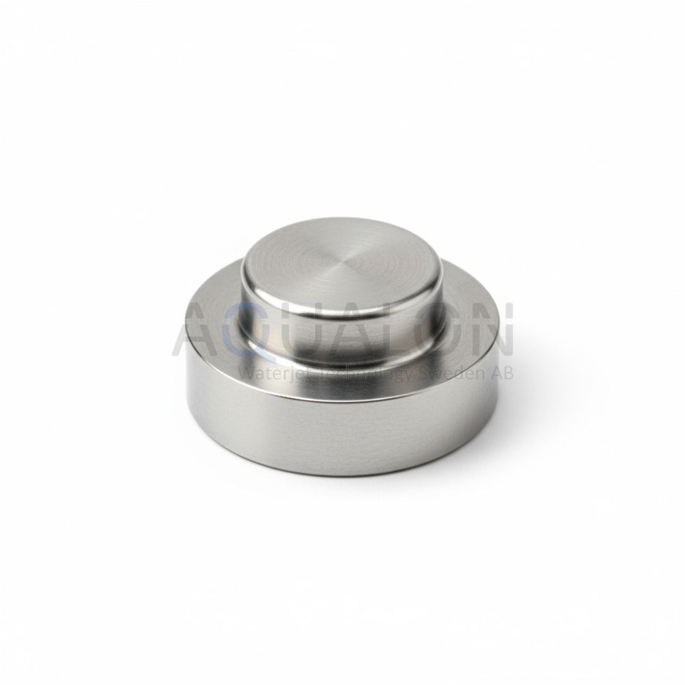 Check valve inlet, 015384-1