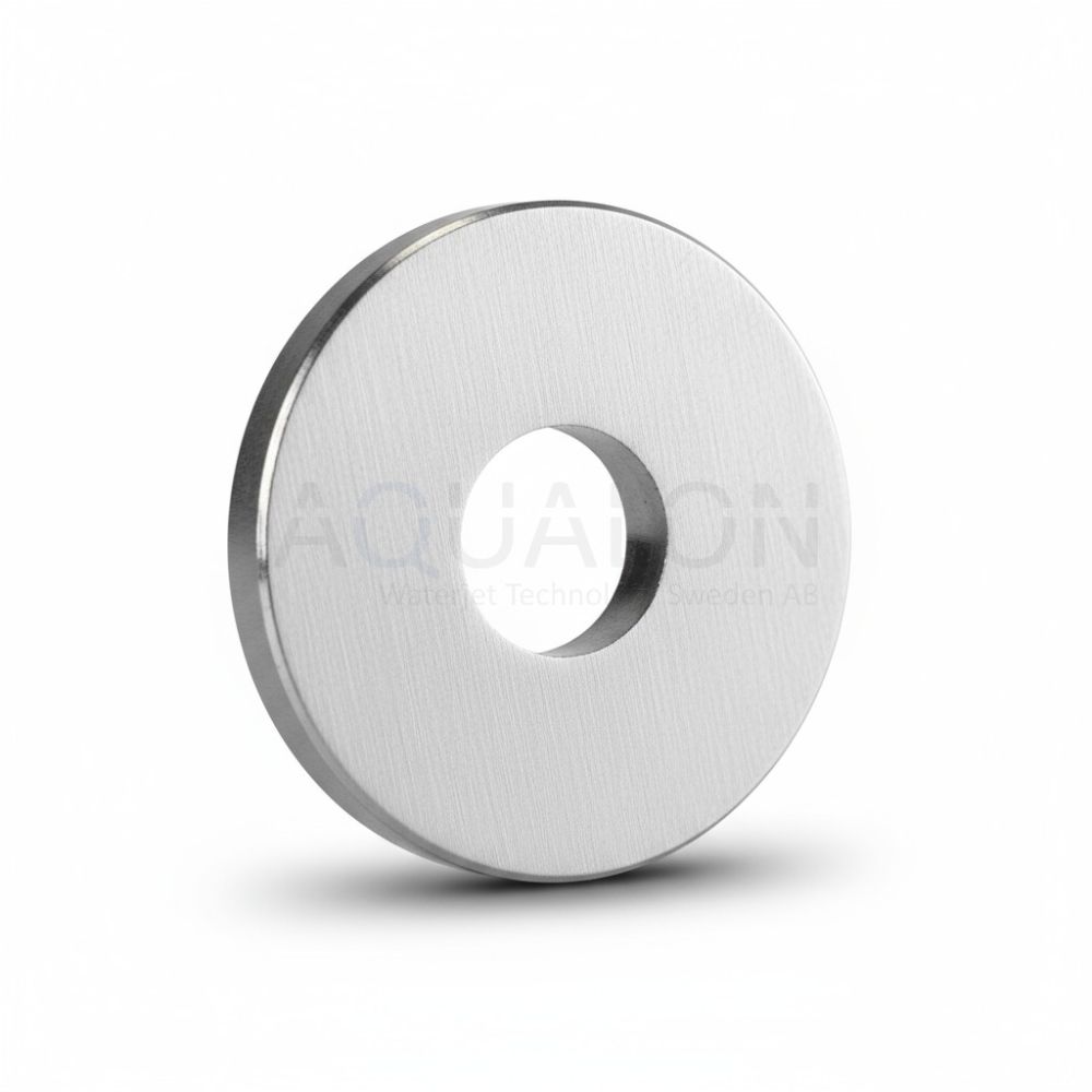 Inlet poppet disk, 4-07493