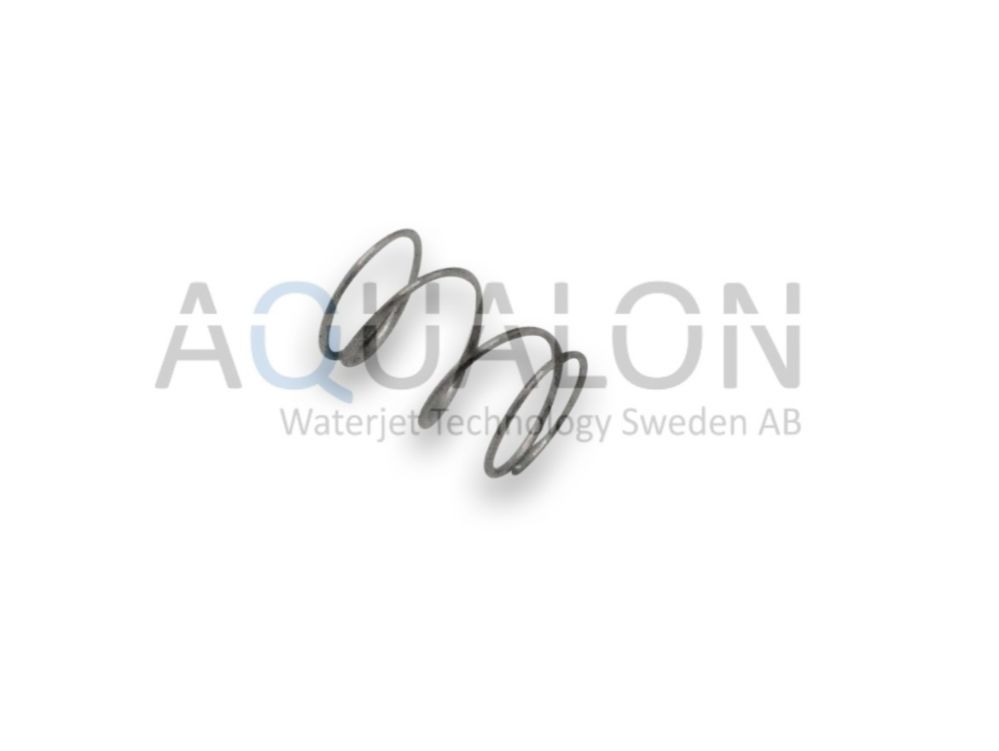 Check Valve Spring, 3751261