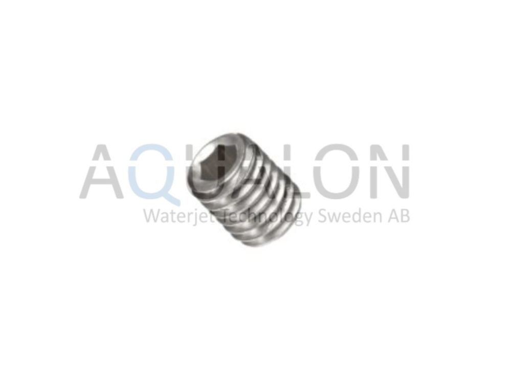 Screw P6SS 5x12, 7900066