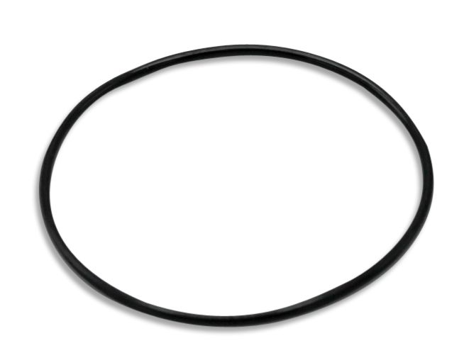 O-ring 10146082
