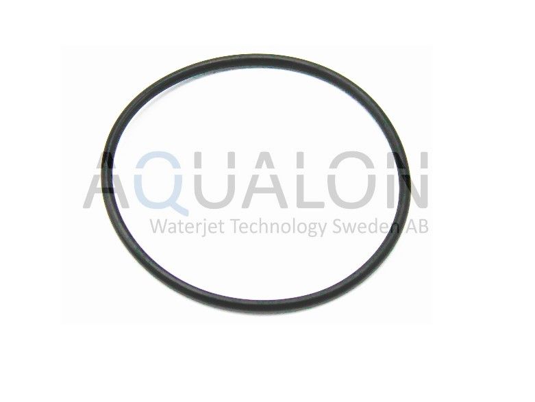 O-ring 1,88'' x 2,06'' x .09'', 05069919