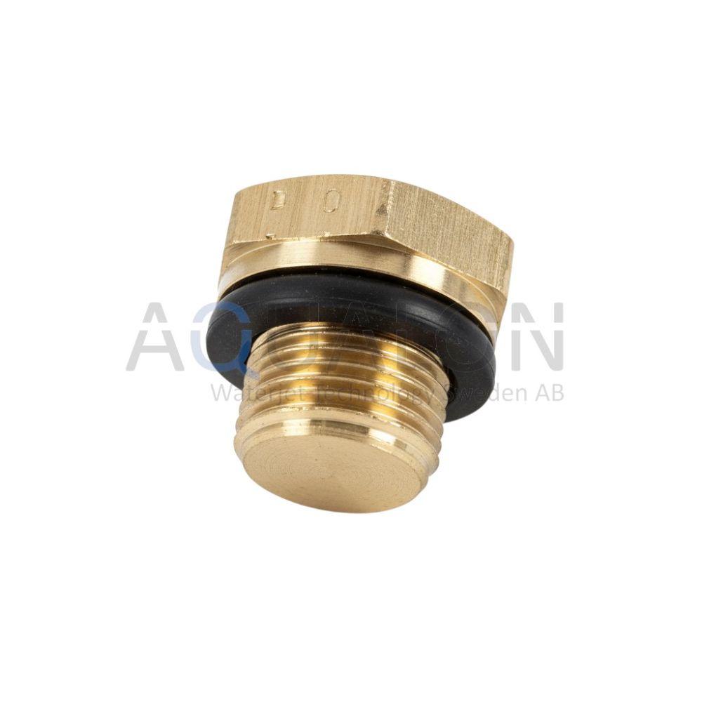 Plug with flange G1/8", PN070100