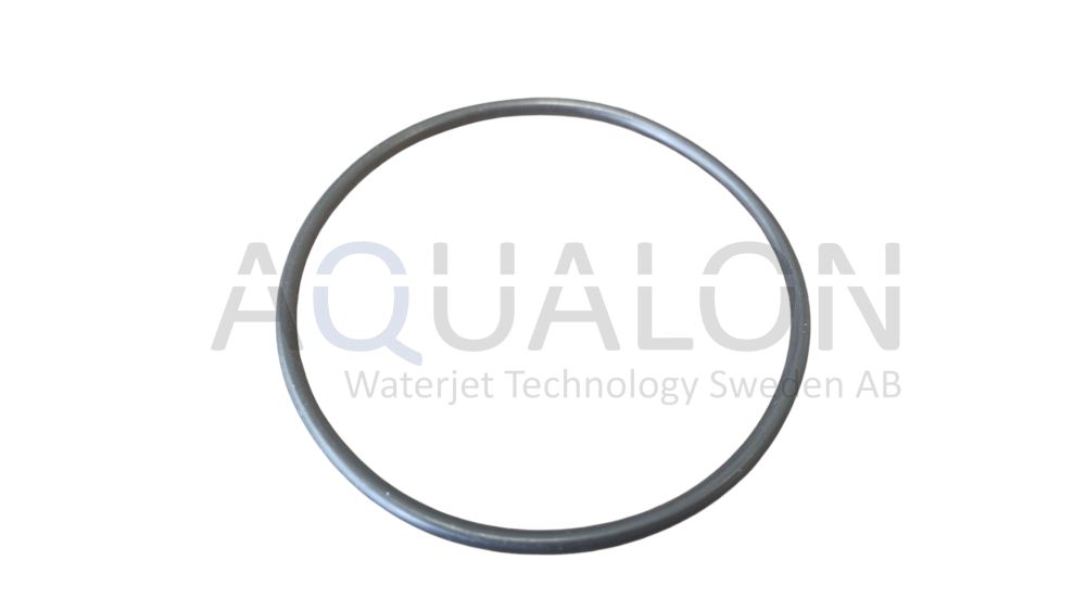 O-ring, 500-5-0042