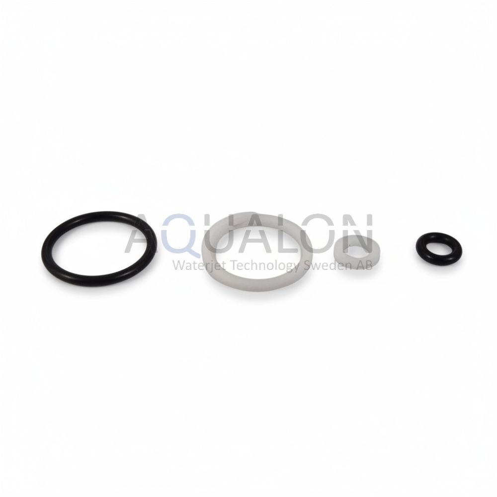 Seal kit for 1004543