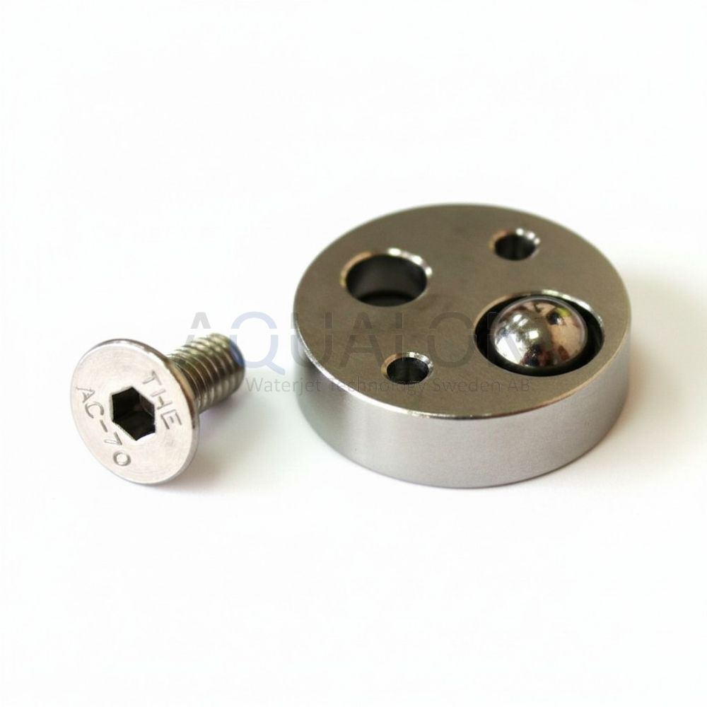 Repair kit, inlet, check valve, 1001753
